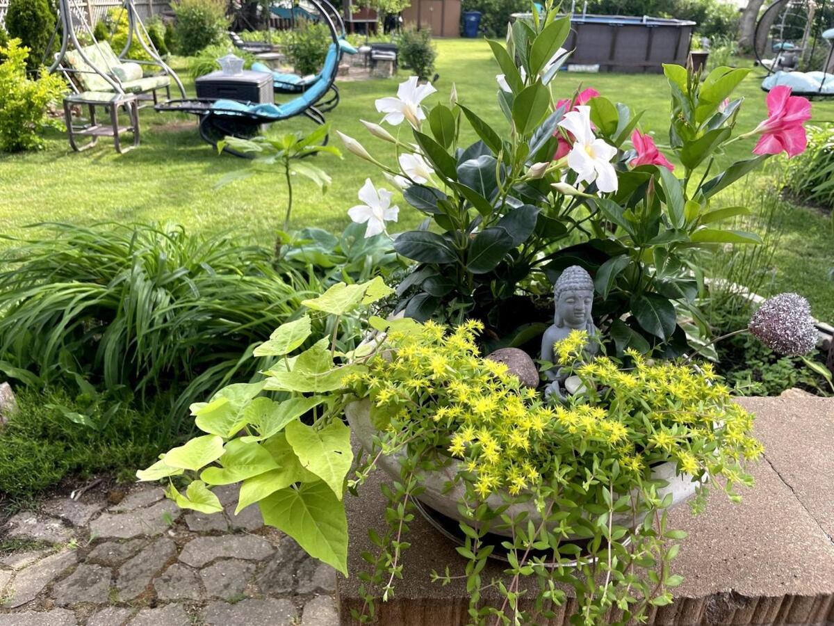 Schaumburg Paradise Oasis With A Secret Garden And Private Pool 外观 照片